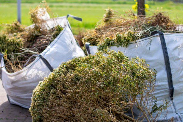 Best Shed Removal  in Girard, PA